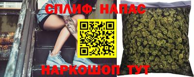гидра Малоярославец