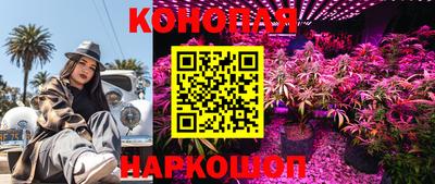 МДПВ Малгобек