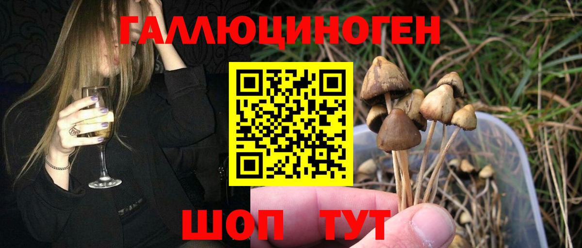 Псилоцибиновые грибы ЛСД  Вход с VPN  Жигулёвск  Галлюциногенные грибы Psilocybine cubensis 
